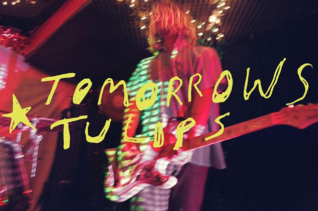 tomorrow-tulips